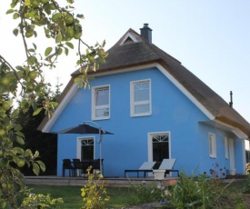 Ferienhaus De niege Leive