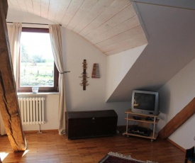 Cozy Apartment in Buschenhagen with Sauna
