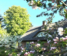 F-1081 Ferienwohnung Pfarrhof in Garz