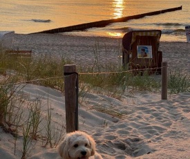 Residenz Lausitz - Apartments für Urlaub mit Hund